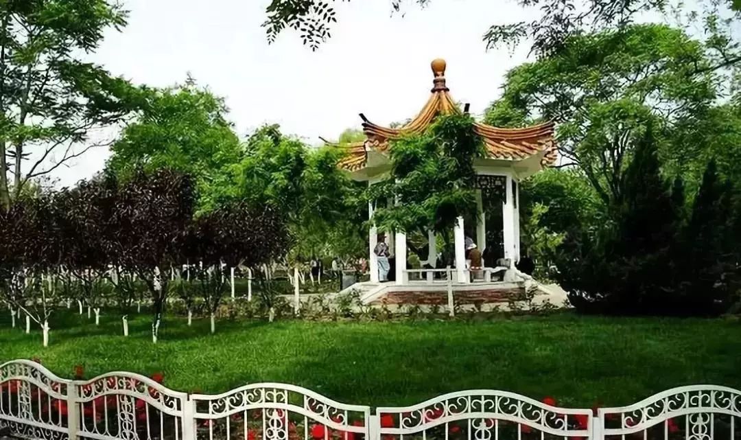 天津免费18个公园,城事天津