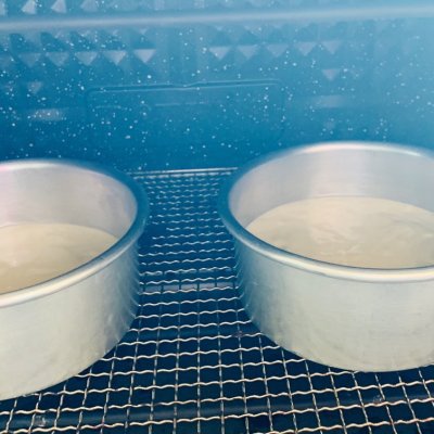 戚风蛋糕胚的价钱,戚风蛋糕胚的做法