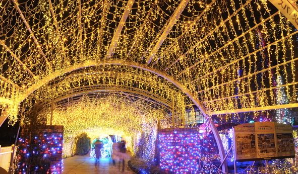 日本发现的大宝藏,日本挖出大宝藏