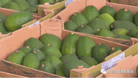 智利车厘子在中国销售的原因,智利车厘子出口中国为什么这么贵