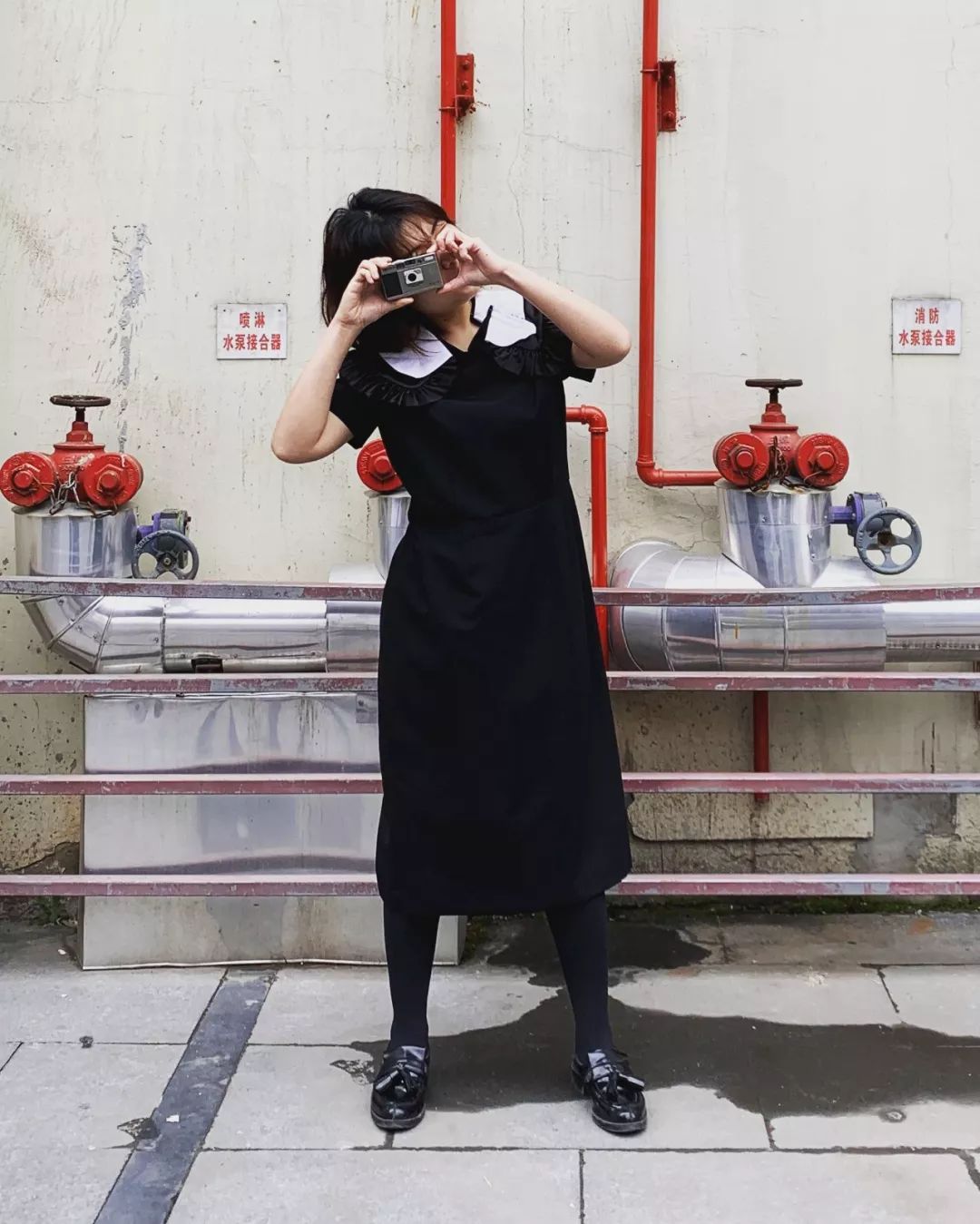 50鍛ㄥ勾,50鍛ㄥ勾浼佸垝