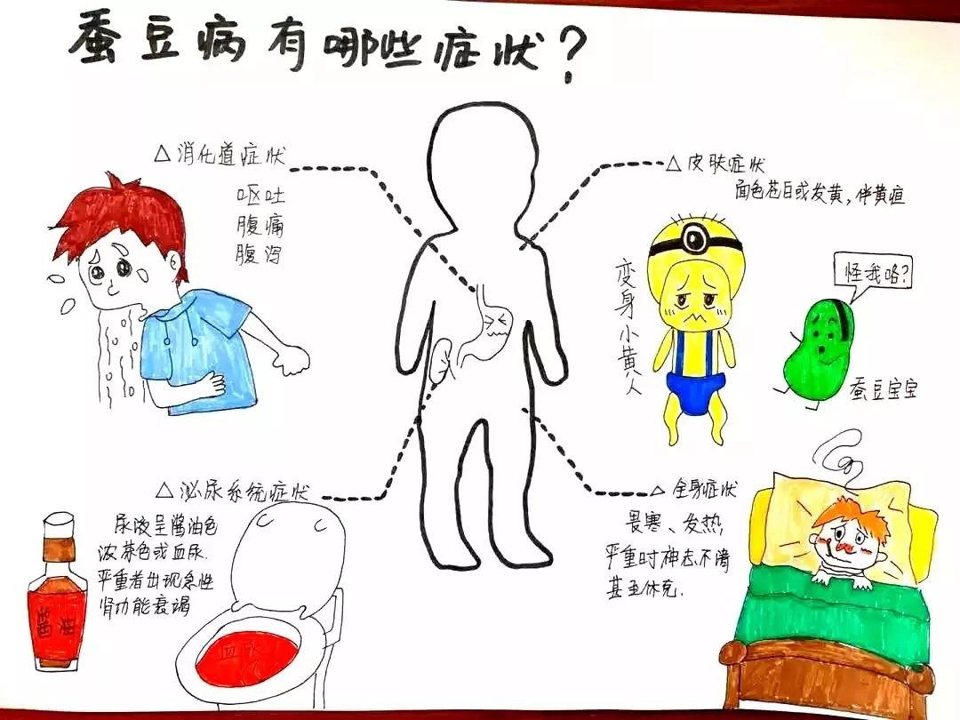 什么是蚕豆病又称什么病,啥是蚕豆病呀