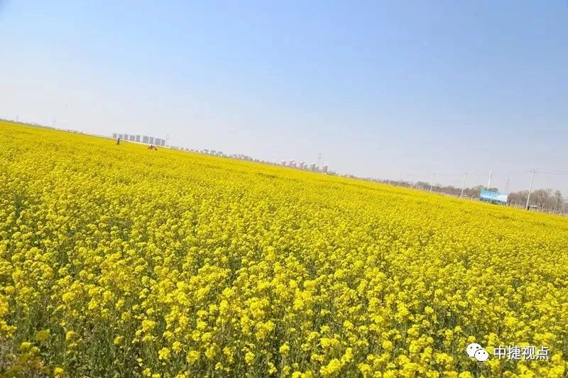 改革发展成就,改革以来的辉煌成就