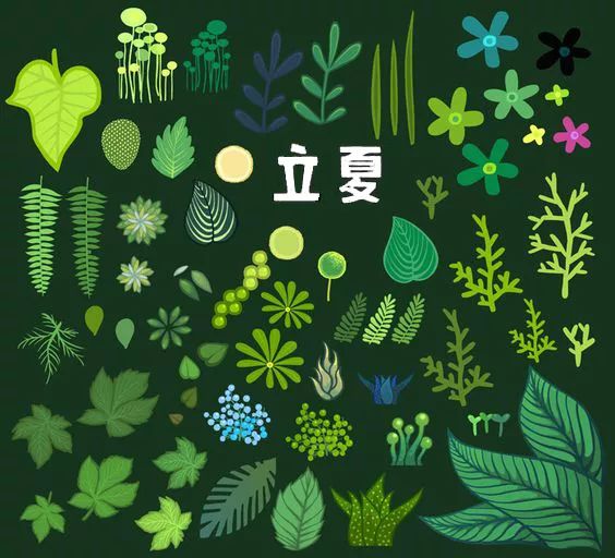 今日立夏愿你轻松一夏,今日立夏愿一切美好