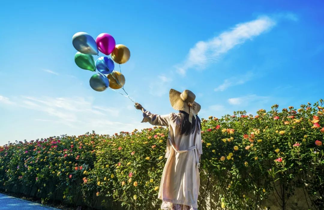 滨江岸线最好玩的地方,滨江值得玩的地方