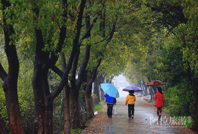 宁波室外十大网红游乐项目,宁波休闲打卡地
