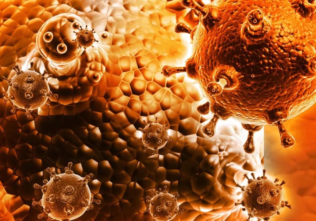 被咬伤感染狂犬病的概率,狂犬病和破伤风的表现有何不同