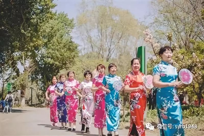 沈阳免费看樱花的景点,沈阳长白岛公园赏樱花