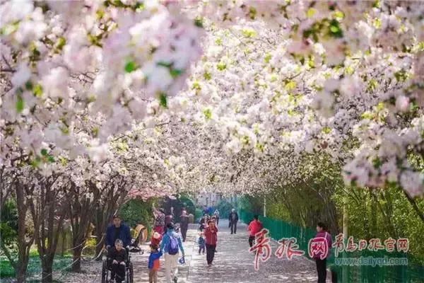 闈掑矝缁濈編鐎戝竷,闈掑矝绱壊鐎戝竷