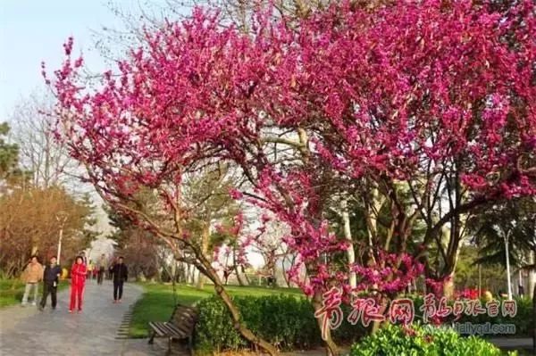 闈掑矝缁濈編鐎戝竷,闈掑矝绱壊鐎戝竷