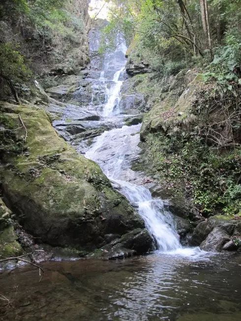 夏天婺源旅游攻略2天1晚,婺源旅游攻略三天两夜自由行