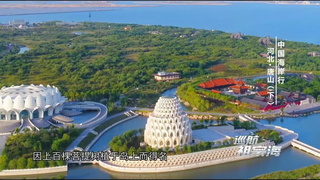 我想去唐山三岛曹妃甸港看看感受下百年“评”韵绽芳华