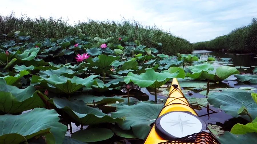 扬州父亲节亲子趣味运动会,水上乐园父亲节亲子活动