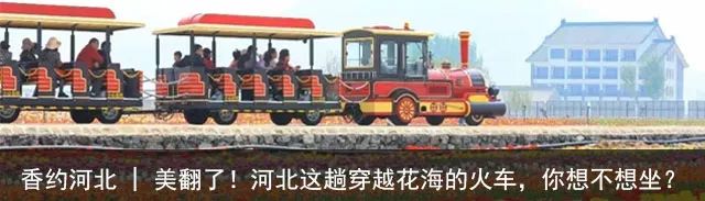 20个小众旅游城市河北沧州,漫游燕赵公园