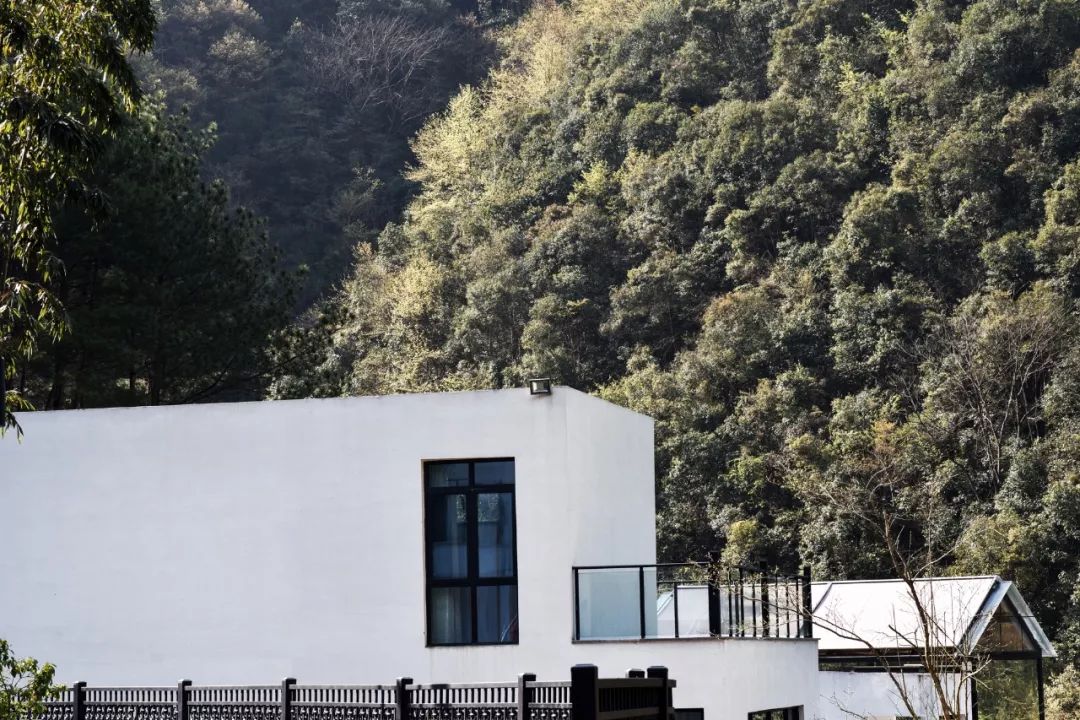 不必去芬兰了，杭州高铁1h就藏着一万颗星星的玻璃屋，过2天山野生活正好！