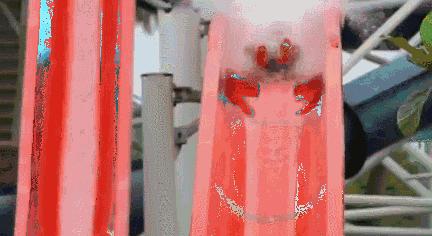 亚马逊水上乐园有什么玩的,亚马逊水上乐园