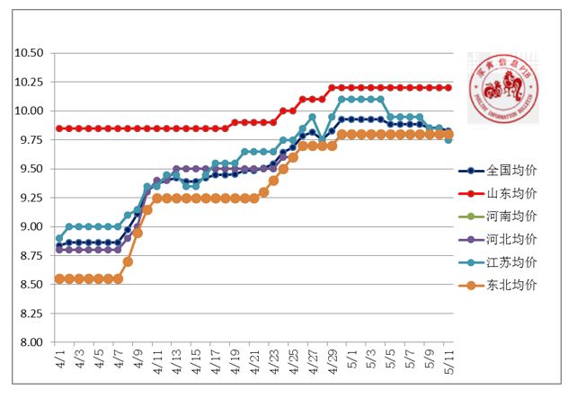 今日山东毛鸡棚前多少一斤,山东肉毛鸡一周走势