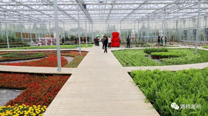 “百合节”开园｜100亩七彩花田，1000000株百合花，等你来