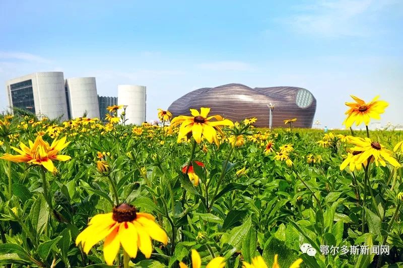 我的鄂尔多斯电视连续剧片段,我的鄂尔多斯原唱