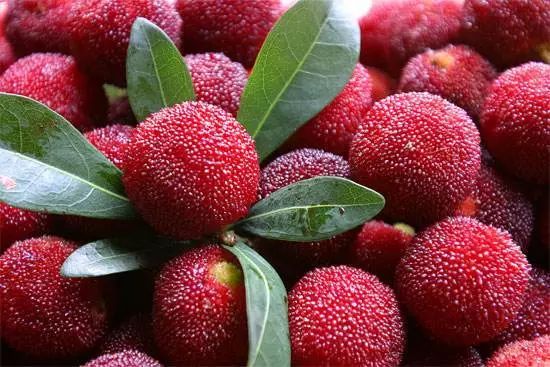 西昌时令水果,缤纷水果季献给爱吃水果的你