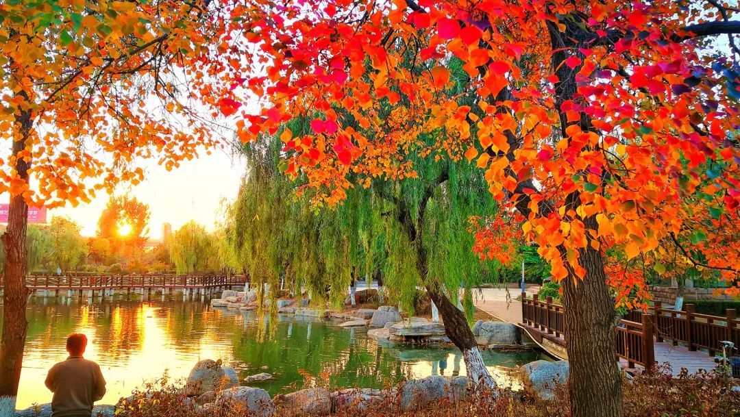 你为什么留在薛城？这是我听过的最好的理由！