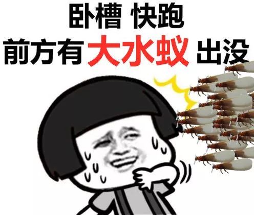 广东下雨后出现的虫子,广东雨后常见的虫子