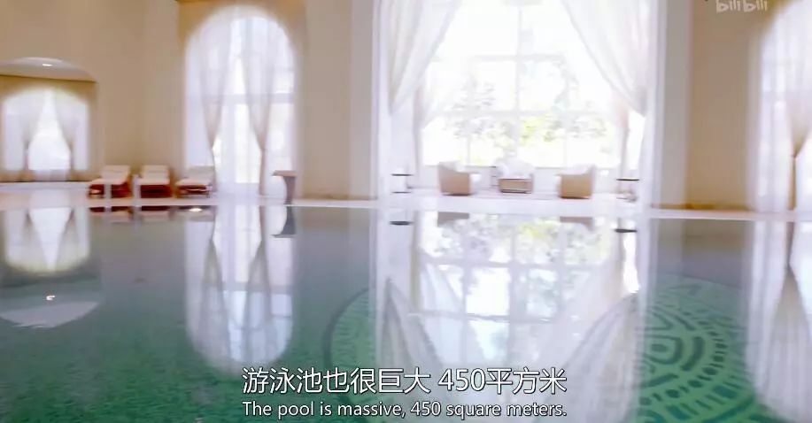 英国富豪的日常纪录片,英国亿万富翁的生活纪录片