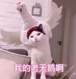 咖啡酱油都不碰，43岁“作”出钻石人生路