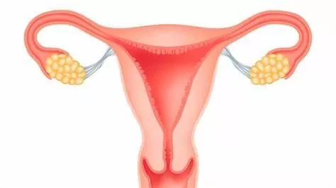 每日健康新闻头条,每日医健大事2019