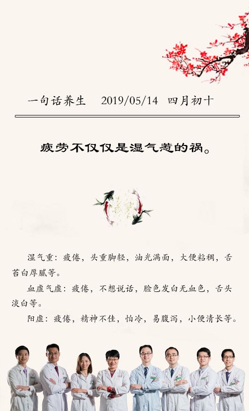 每日一膳|气虚疲倦、消化不良？不仅仅是湿气惹的祸，看看您属于哪一类？这款茶饮帮到您~广东省中医院杨志敏教授今日推荐