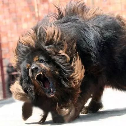 为什么有人把朋友圈设成三天可见,微信怎样把一个人设成三天可见