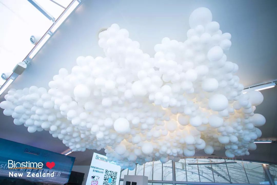 新西兰到底有多好呢,新西兰到底有多好