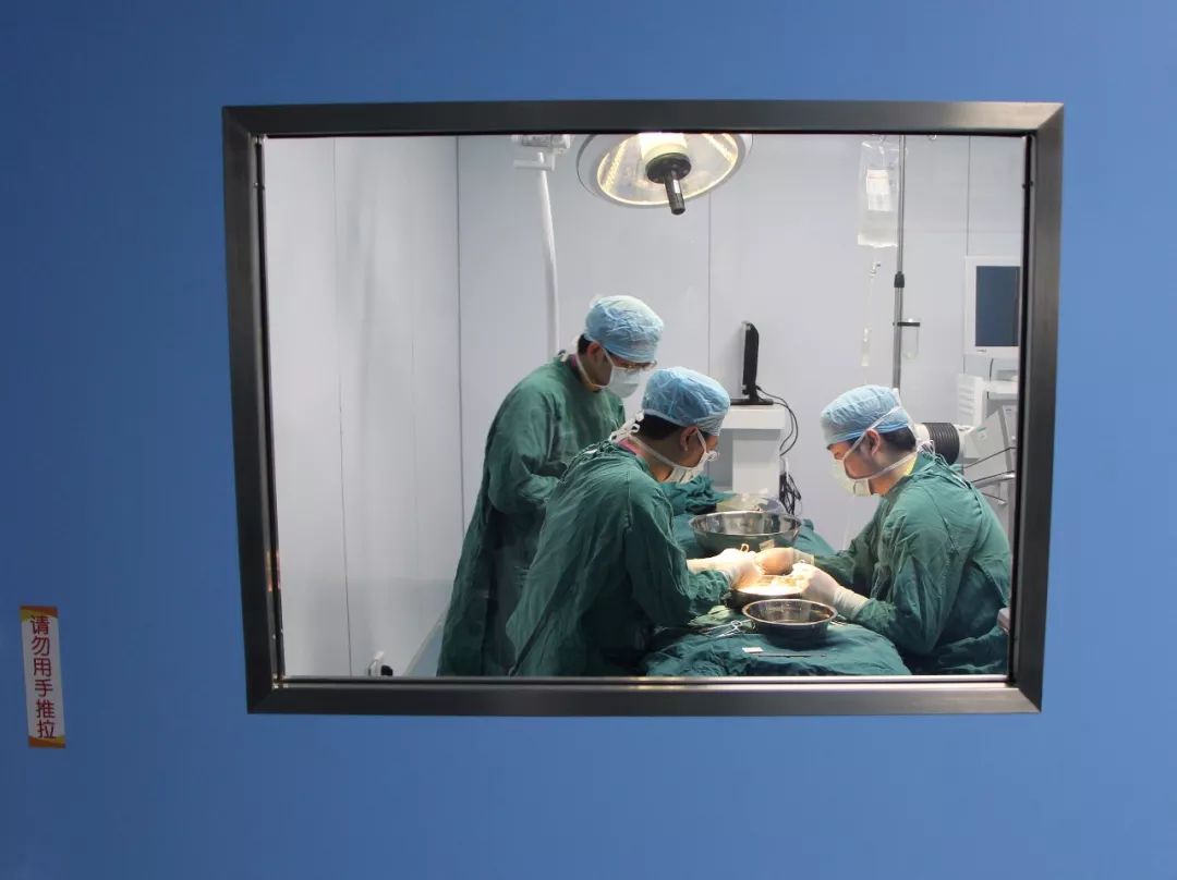 6岁男孩吃了这道菜被抢救,4岁男童吃饭中毒死亡