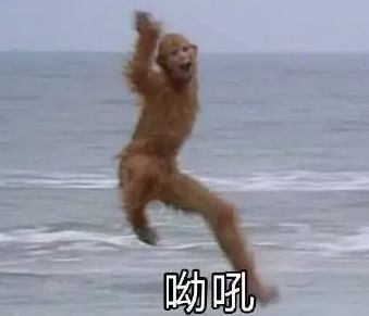 在成都市生活住哪个区比较好,在成都住一个月是租房还是住酒店