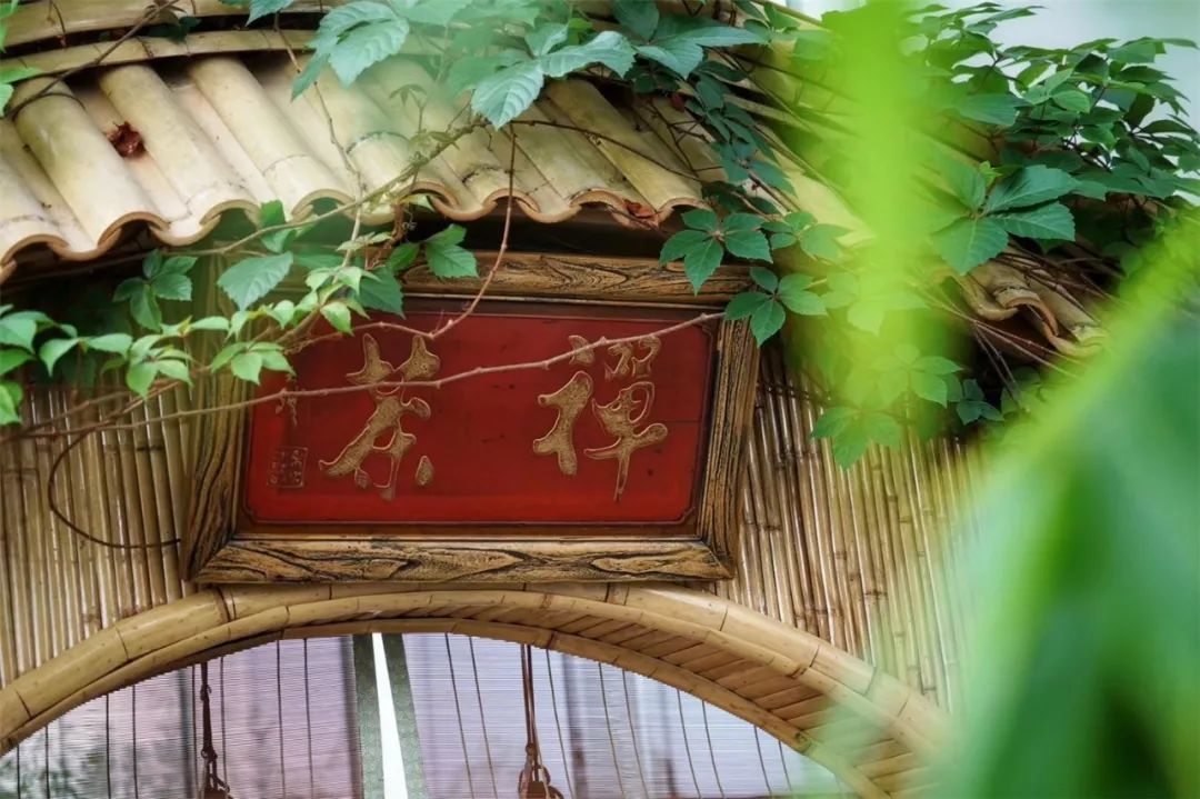 上海最高楼云端上的风景,在上海最高的楼俯瞰风景