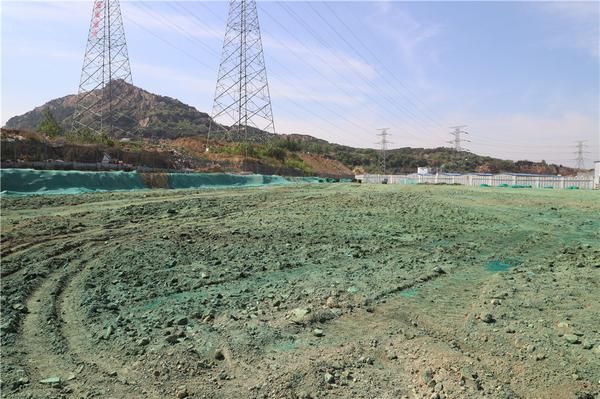 青科大高分子材料与工艺,青科大科研团队