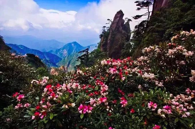 5.19中国旅游日哪些景点半价,519旅游日河北免门票