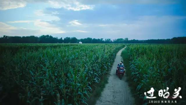 影向标|影评人对《阿拉丁》无感