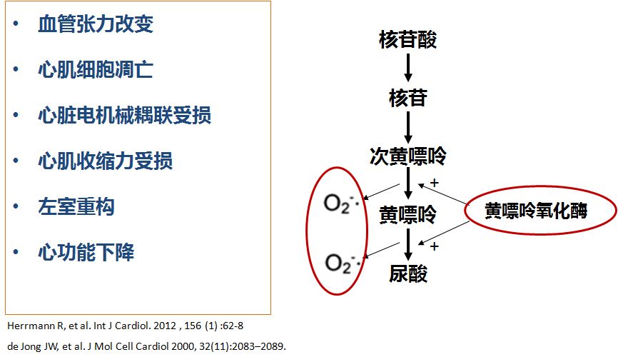 心衰肾衰伴高尿酸怎么治疗,心衰引起的肌酐和尿酸高怎么办