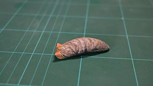 日本“手工鬼才”捏的小动物模型，比表情包还沙雕