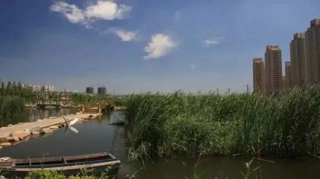 玩转大连森林公园,逛遍大连森林公园