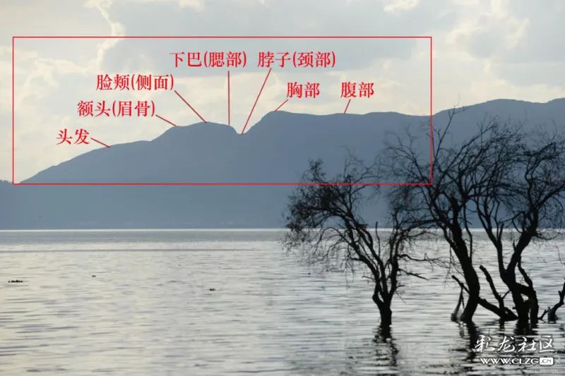 城味是什么,城味