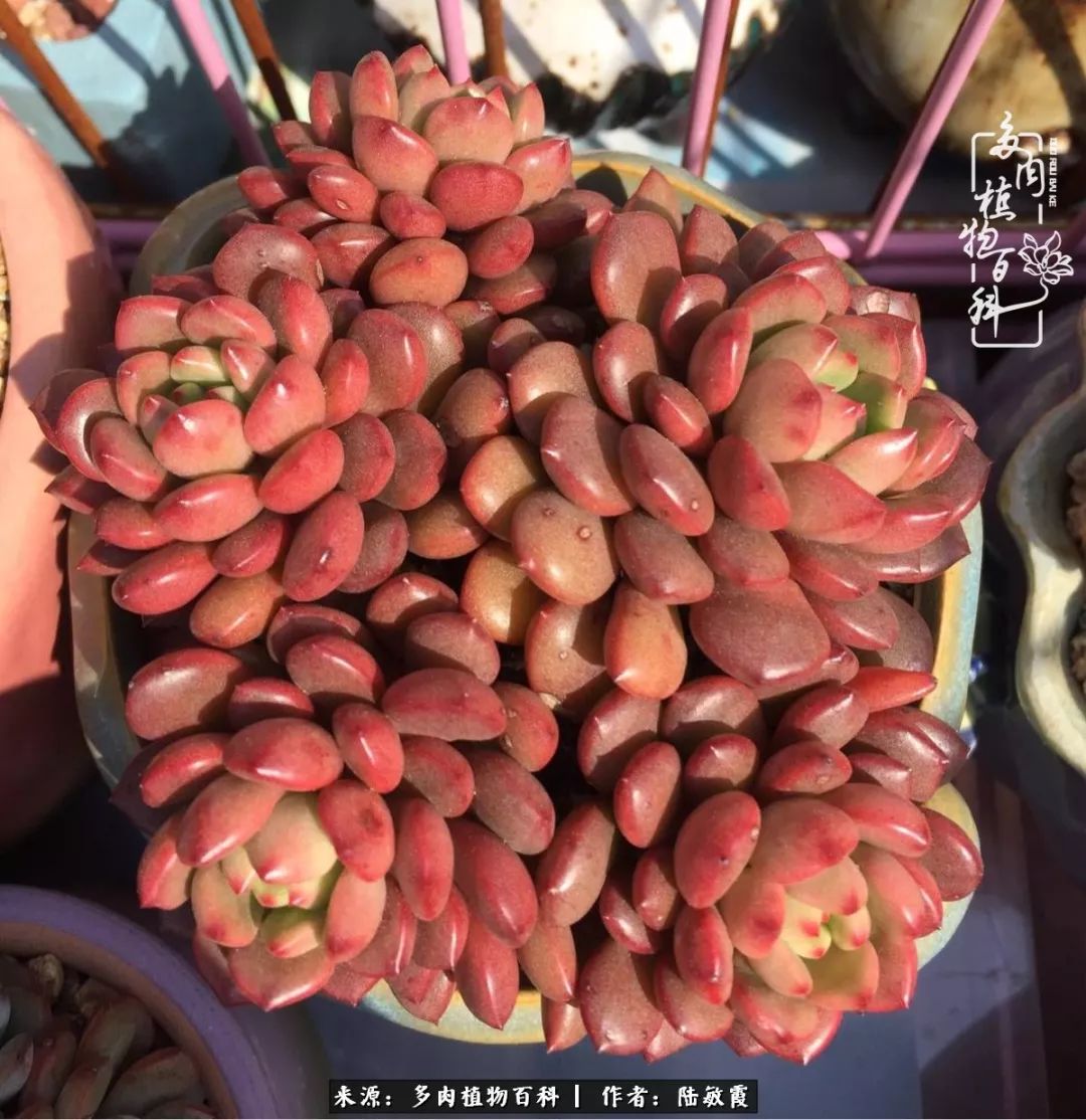 往后余生与花草相伴,往后余生与健康相伴