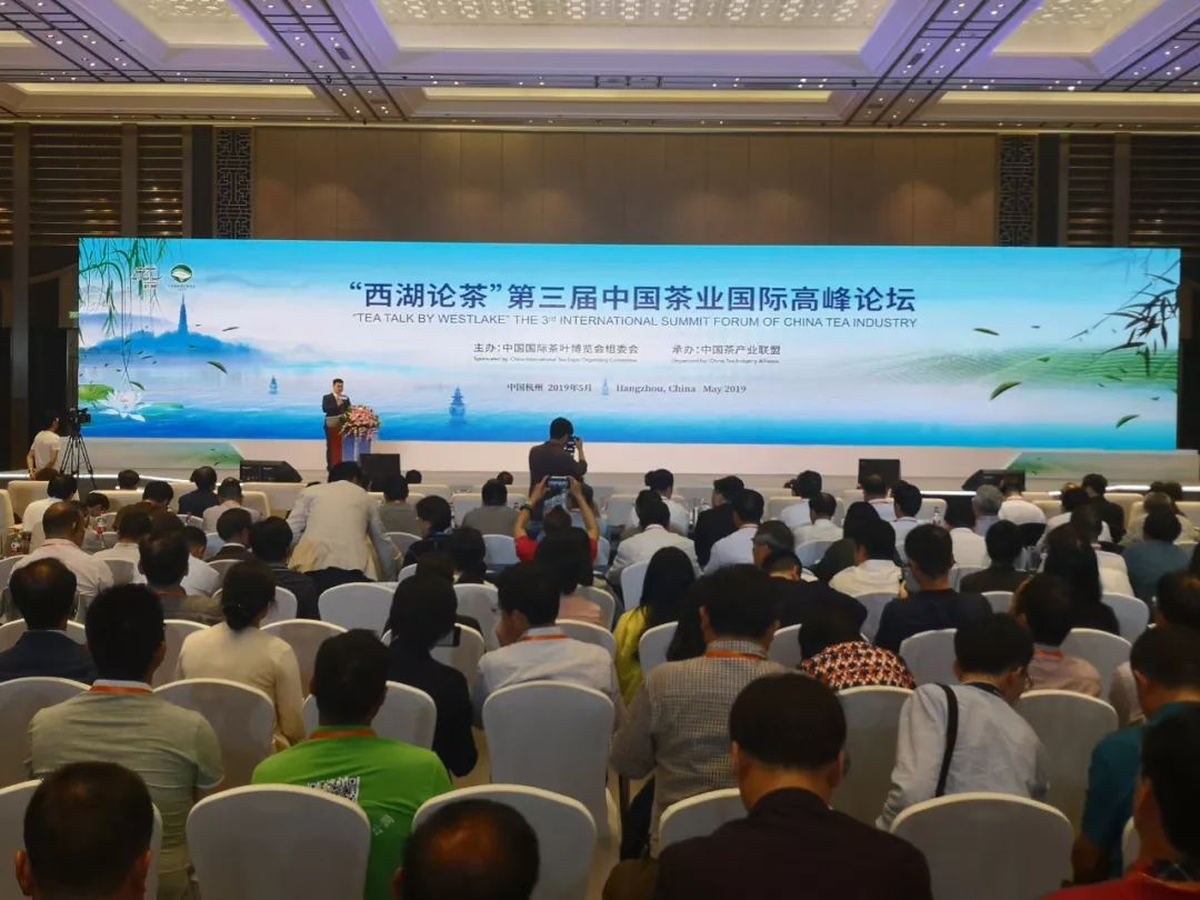 茶博会丨西子湖畔共享一杯茶