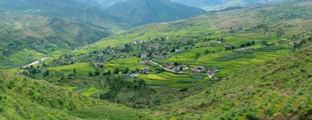 被遗留在丽江一块名为他留梯田的翡翠