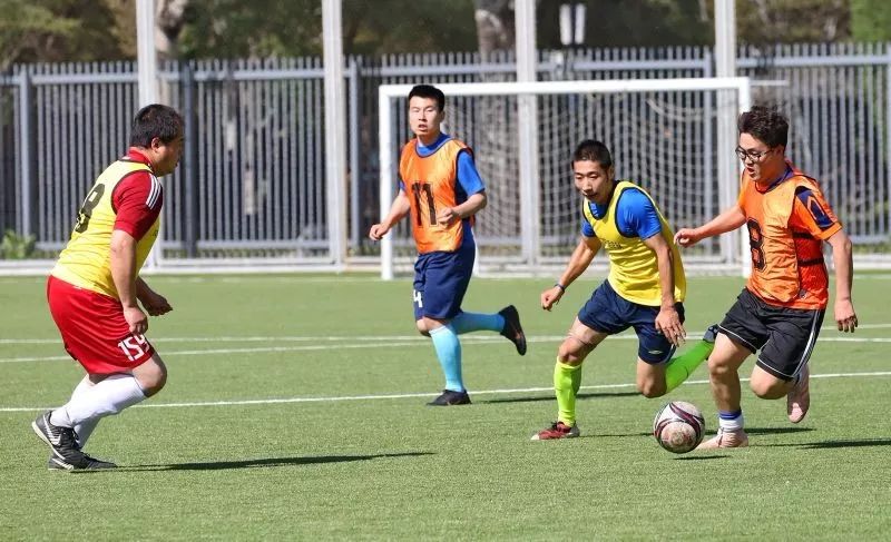 北京101中著名校友,北京101中校友