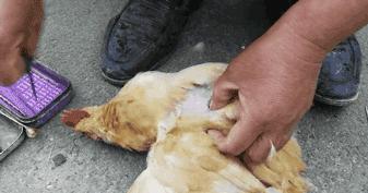 月入过万的高薪行业,冷门打工月入过万