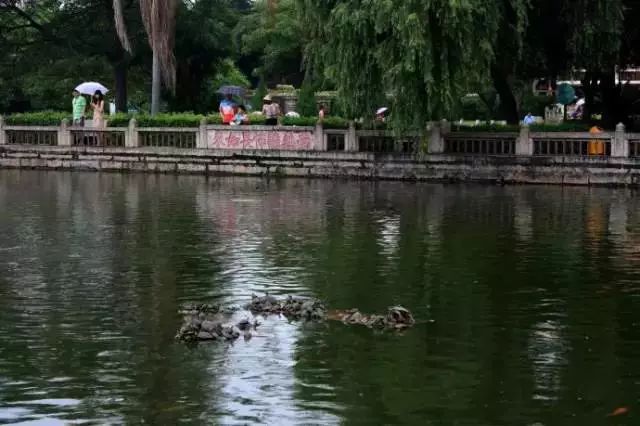 厦门大风天气适合去哪里旅游,厦门还能去看海吗现在天气