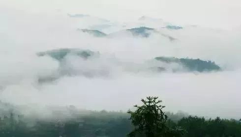 南平除了武夷山还有哪些景点,福建南平市武夷山风景区游记