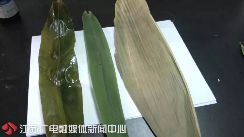 绿粽子怎么鉴别重金属,绿粽子含重金属吗